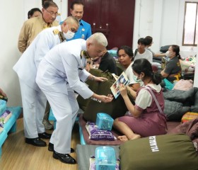 พระบาทสมเด็จพระเจ้าอยู่หัว ... พารามิเตอร์รูปภาพ 8