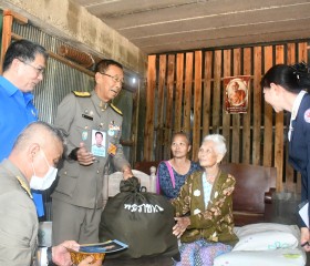 พระบาทสมเด็จพระเจ้าอยู่หัว ... พารามิเตอร์รูปภาพ 8