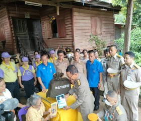 พระบาทสมเด็จพระเจ้าอยู่หัว ... พารามิเตอร์รูปภาพ 8