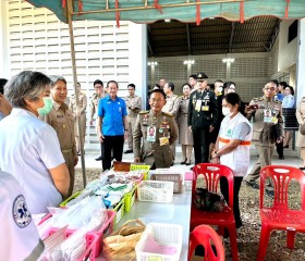 พระบาทสมเด็จพระเจ้าอยู่หัว ทรงพระกรุณาโปรดเกล้าฯ ให้ พลเอก ... พารามิเตอร์รูปภาพ 13