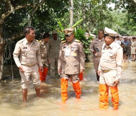 พระบาทสมเด็จพระเจ้าอยู่หัว ... พารามิเตอร์รูปภาพ 4