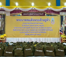 พระบาทสมเด็จพระเจ้าอยู่หัว ... พารามิเตอร์รูปภาพ 1