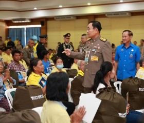 พระบาทสมเด็จพระเจ้าอยู่หัว ... พารามิเตอร์รูปภาพ 14