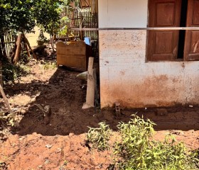 พระบาทสมเด็จพระเจ้าอยู่หัว ทรงพระกรุณาโปรดเกล้าฯ ให้ ... พารามิเตอร์รูปภาพ 11