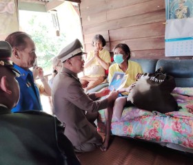 พระบาทสมเด็จพระเจ้าอยู่หัว ทรงพระกรุณาโปรดเกล้าฯ ให้ ... พารามิเตอร์รูปภาพ 21