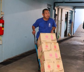 มูลนิธิราชประชานุเคราะห์ฯ ... พารามิเตอร์รูปภาพ 11