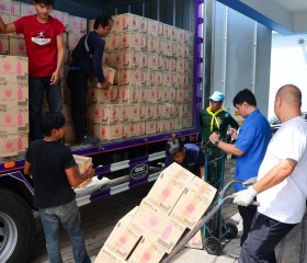 มูลนิธิราชประชานุเคราะห์ฯ ... พารามิเตอร์รูปภาพ 10