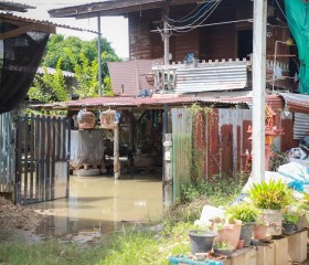พระบาทสมเด็จพระเจ้าอยู่หัว ทรงพระกรุณาโปรดเกล้าฯ ให้ ... พารามิเตอร์รูปภาพ 17