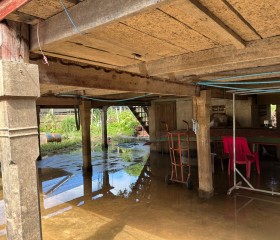 พระบาทสมเด็จพระเจ้าอยู่หัว ทรงพระกรุณาโปรดเกล้าฯ ให้ พลเอก ... พารามิเตอร์รูปภาพ 19