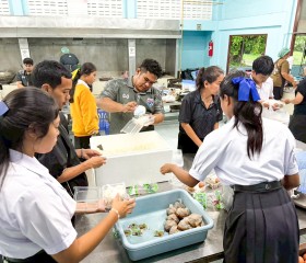 มูลนิธิราชประชานุเคราะห์ฯ ... พารามิเตอร์รูปภาพ 9