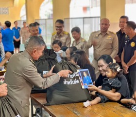 พระบาทสมเด็จพระเจ้าอยู่หัว ... พารามิเตอร์รูปภาพ 14
