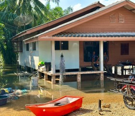 พระบาทสมเด็จพระเจ้าอยู่หัว ... พารามิเตอร์รูปภาพ 7