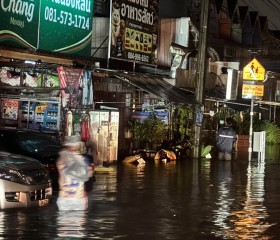 มูลนิธิราชประชานุเคราะห์ ในพระบรมราชูปถัมภ์ ... พารามิเตอร์รูปภาพ 7