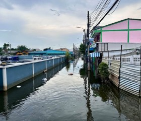 พลเรือเอก พงษ์เทพ หนูเทพ องคมนตรี ... พารามิเตอร์รูปภาพ 22
