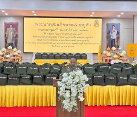 พระบาทสมเด็จพระเจ้าอยู่หัว ... พารามิเตอร์รูปภาพ 31