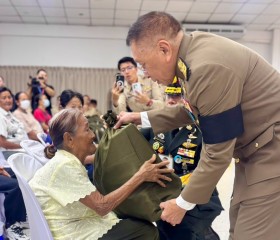 พระบาทสมเด็จพระเจ้าอยู่หัว ... พารามิเตอร์รูปภาพ 17