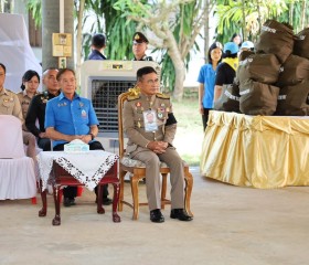 พระบาทสมเด็จพระเจ้าอยู่หัว ... พารามิเตอร์รูปภาพ 2